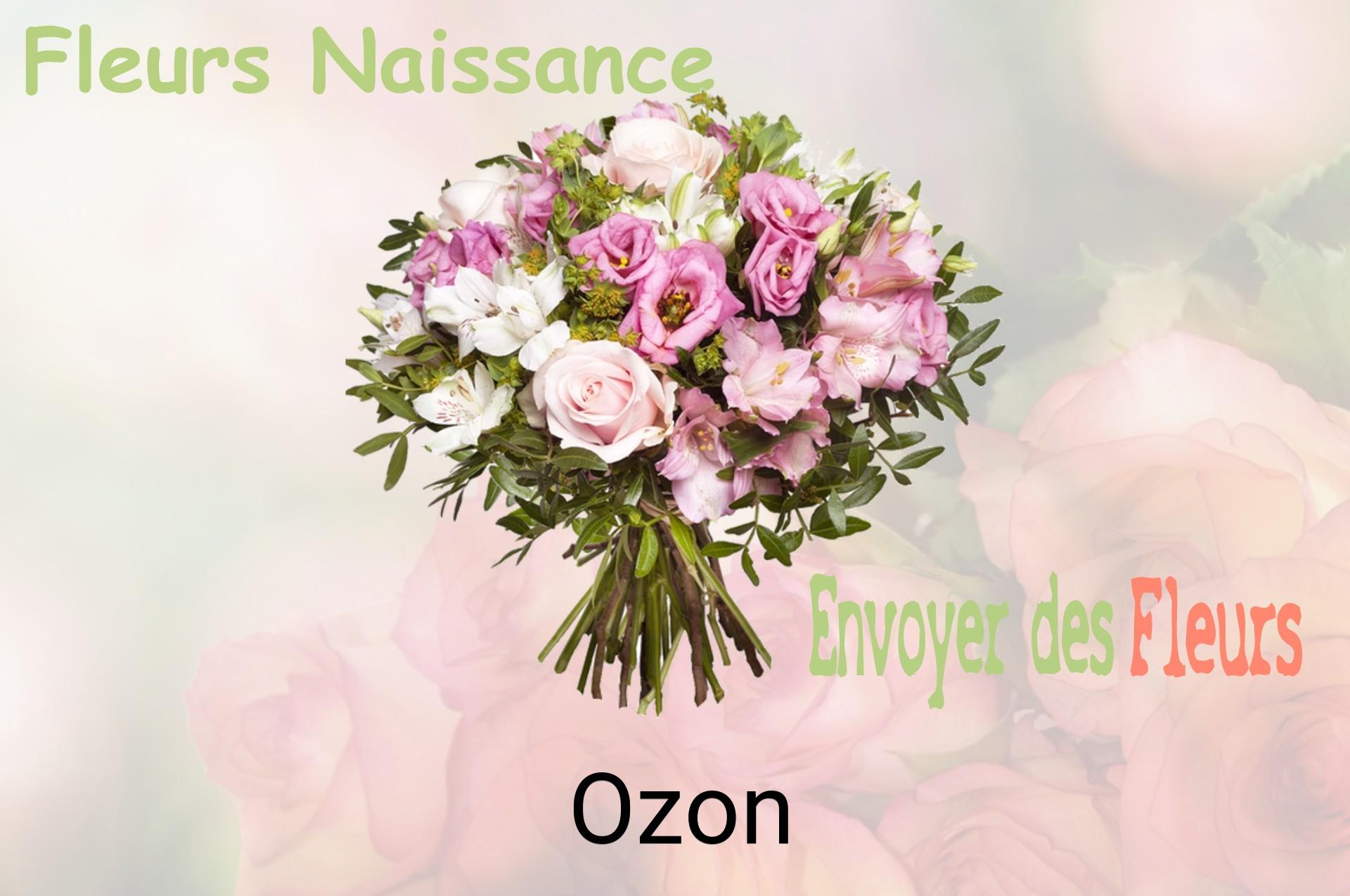 Bouquet de fleurs de naissance livré à Ozon